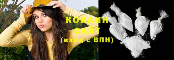 скорость Новодвинск