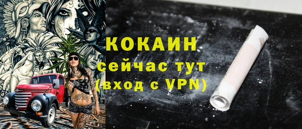 гидра Новозыбков