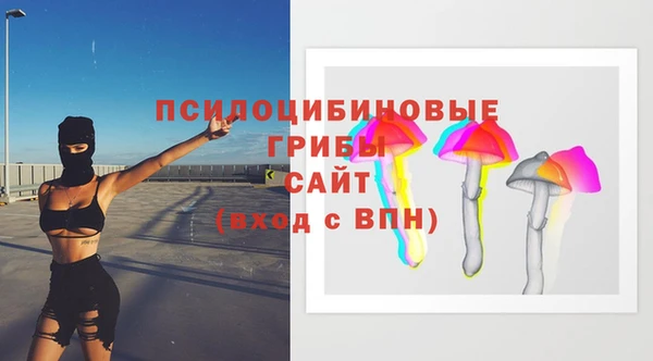 гидра Новозыбков