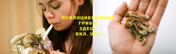 гидра Новозыбков
