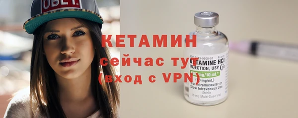 гидра Новозыбков