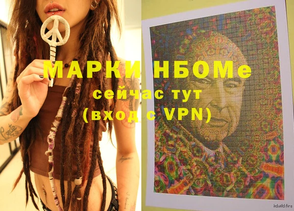гидра Новозыбков