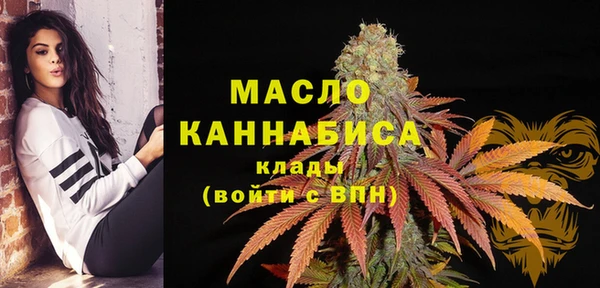 гидра Новозыбков
