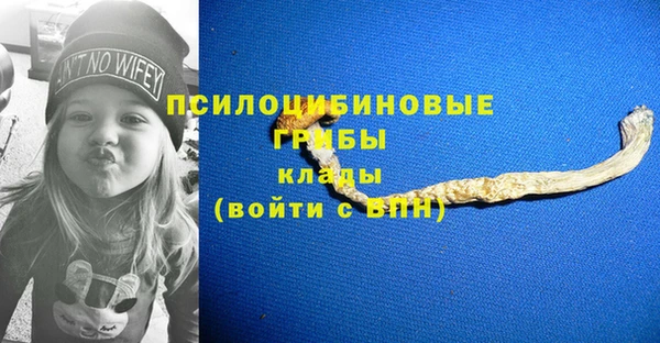 тгк Няндома