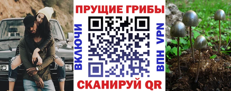 гидра зеркало  Когалым  Галлюциногенные грибы мицелий  как найти  