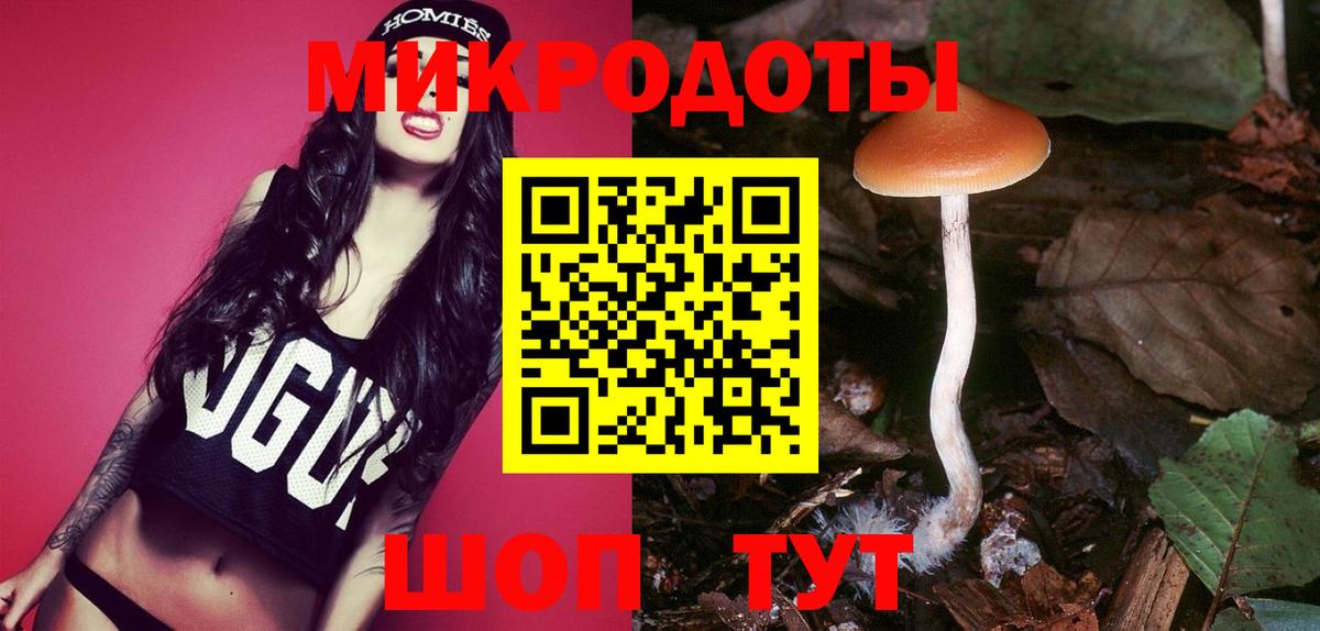Галлюциногенные грибы мицелий  как найти наркотики  Псилоцибиновые грибы Psilocybine cubensis  Когалым  Вход с VPN 