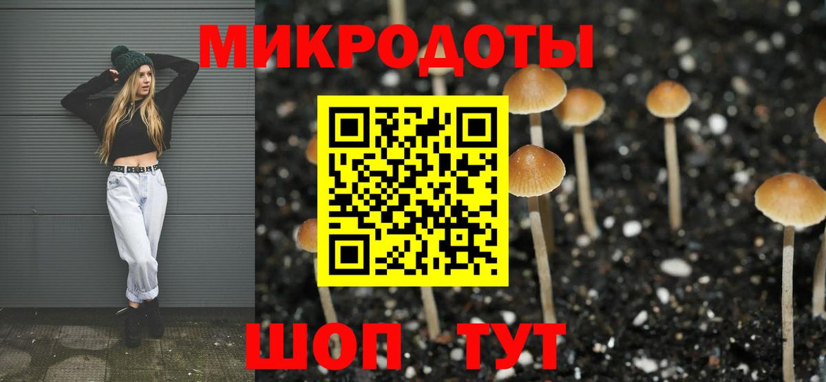 Галлюциногенные грибы Cubensis  продажа наркотиков  Когалым 