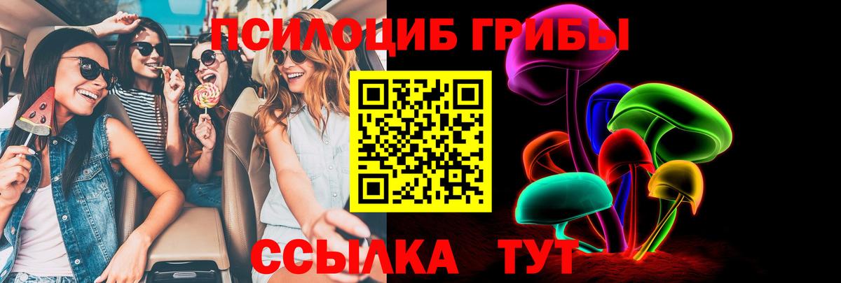 Галлюциногенные грибы Psilocybine cubensis Когалым