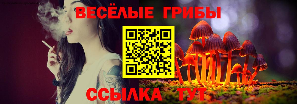 Галлюциногенные грибы Psilocybe Когалым